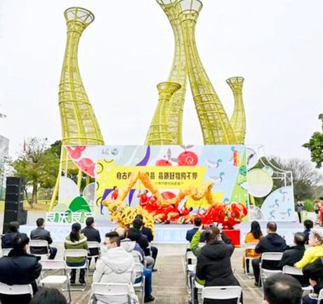 Liangqing District, Nanning City "Liangqing Liangpin" grand market and e-commerce live broadcast festival kicks off